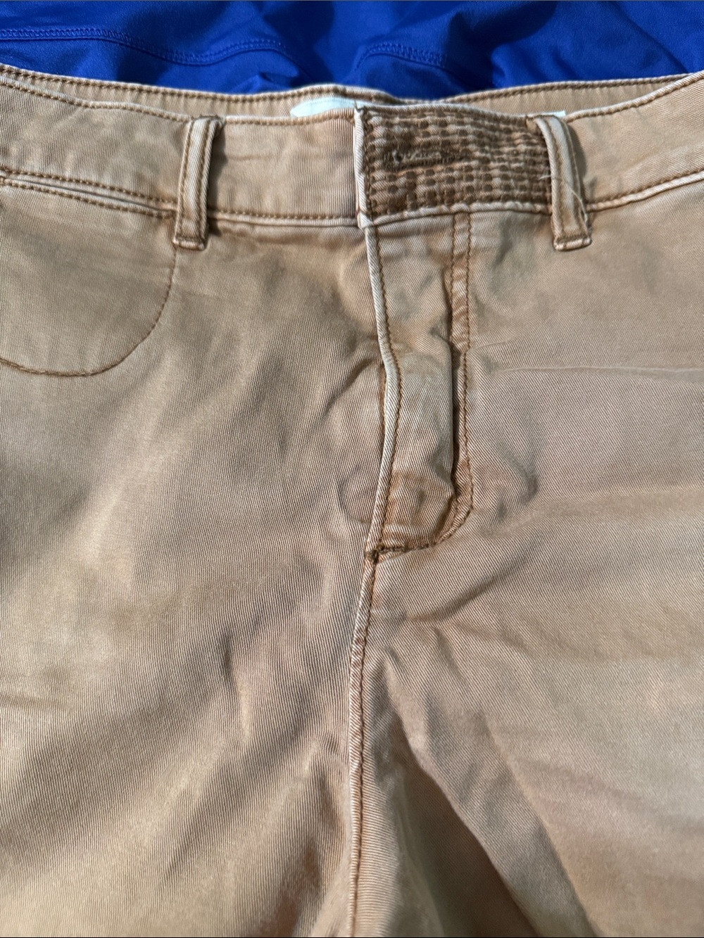 Anthropology pilcro short